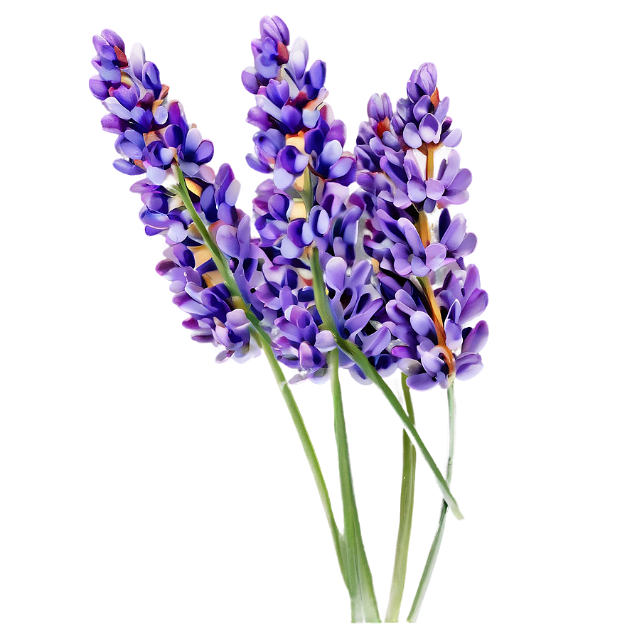 Fairy Tale Lavender Png Xhr