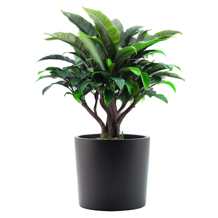 Fake Plant For Office Desk Png Rdi