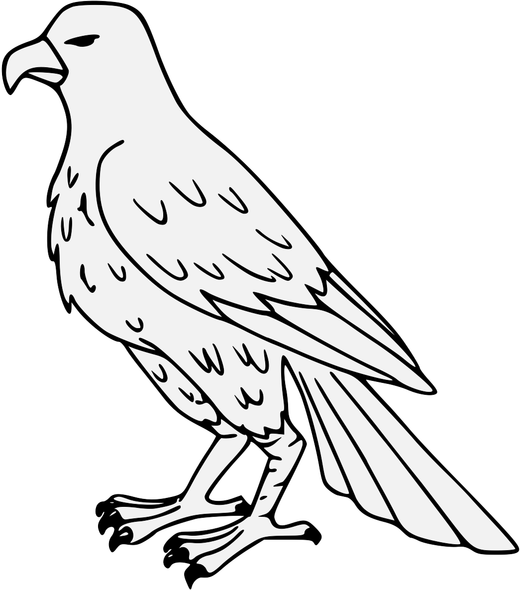 Falcon Png, Transparent Png PNG with transparent background
