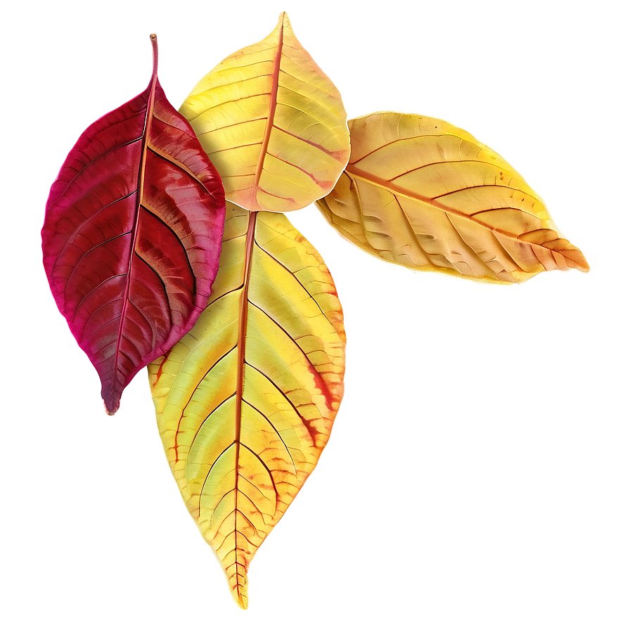 Fallen Autumn Leaves Png 7