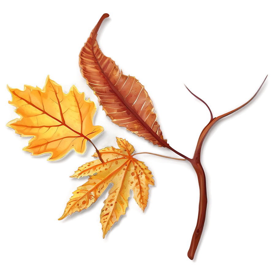 Fallen Leaves Clipart Collection Png Mdm