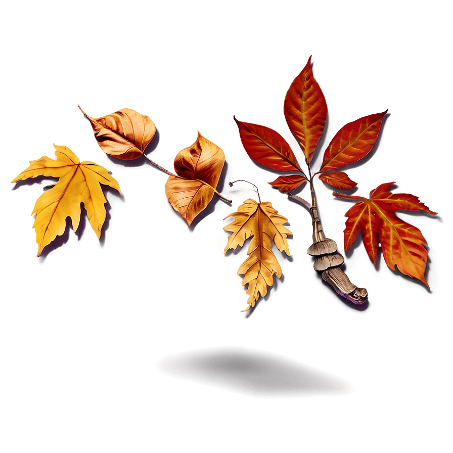 Falling Leaves PNG 12 PNG with transparent background