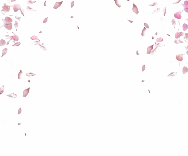 Falling Pink Petals Animation