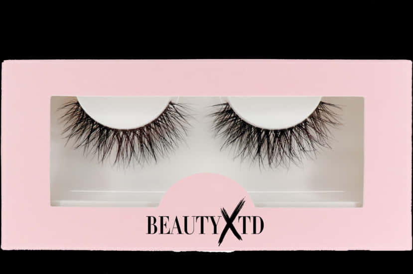 False Eyelashes Packaging Beauty X T D