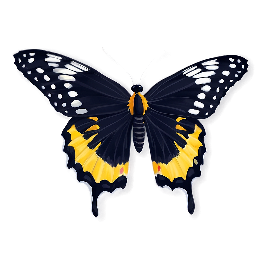 Fancy Black Butterfly Png 38