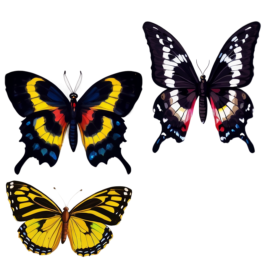 Fancy Black Butterfly Png 57