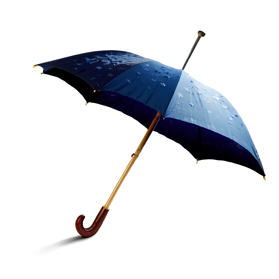 Fancy Umbrella Png 05232024