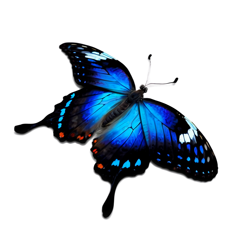 Fantasy Blue Butterfly Png 83