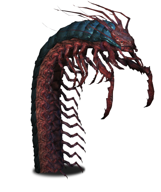 Fantasy Centipede Creature Artwork