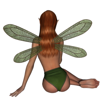 Fantasy_ Fairy_ Back_ View PNG with transparent background