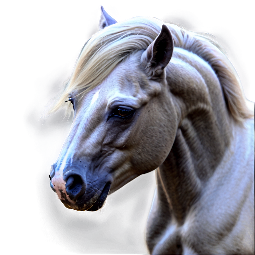 Fantasy Horse Png Hqo