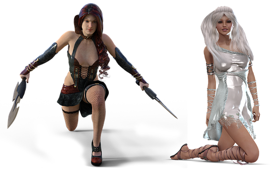 Fantasy Warriorand Sorceress