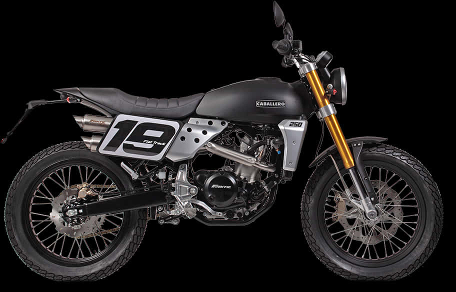 Fantic Caballero Flat Track250 Motorcycle