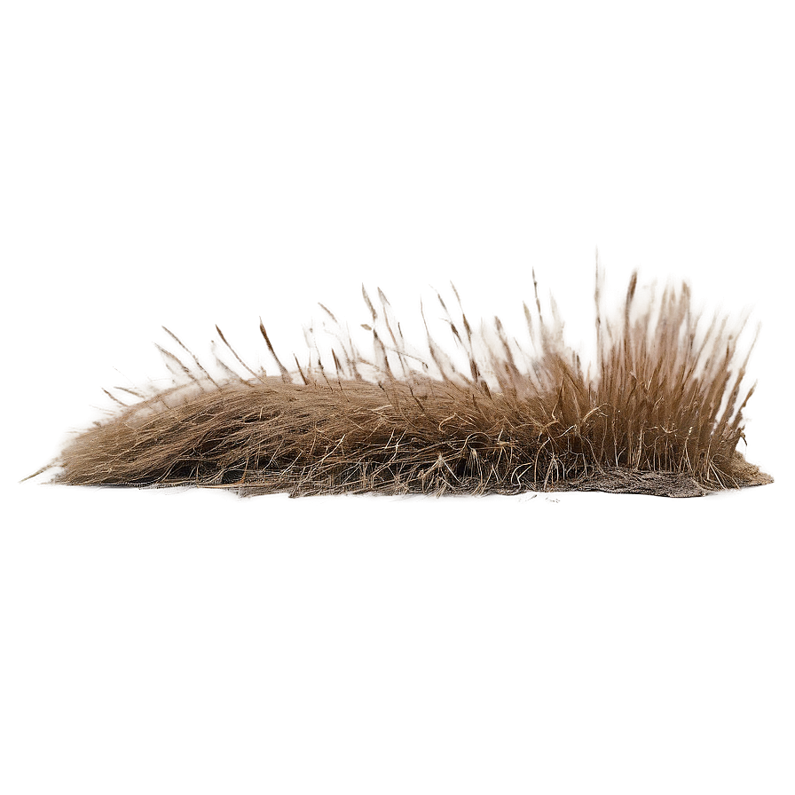 Farm Dry Grass Png 79