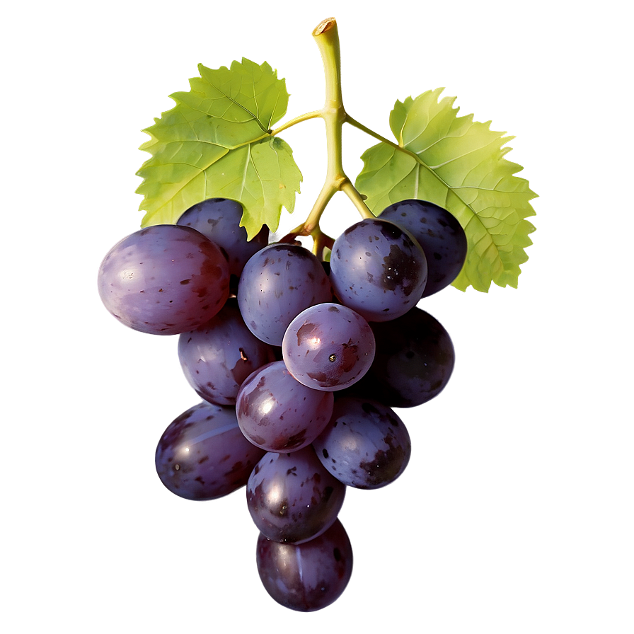 Farm Fresh Grape Png Skf13