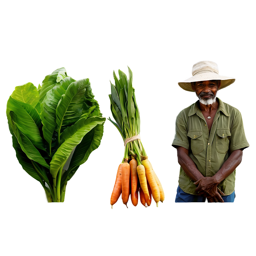 Farmer With Organic Produce Png Tcl26