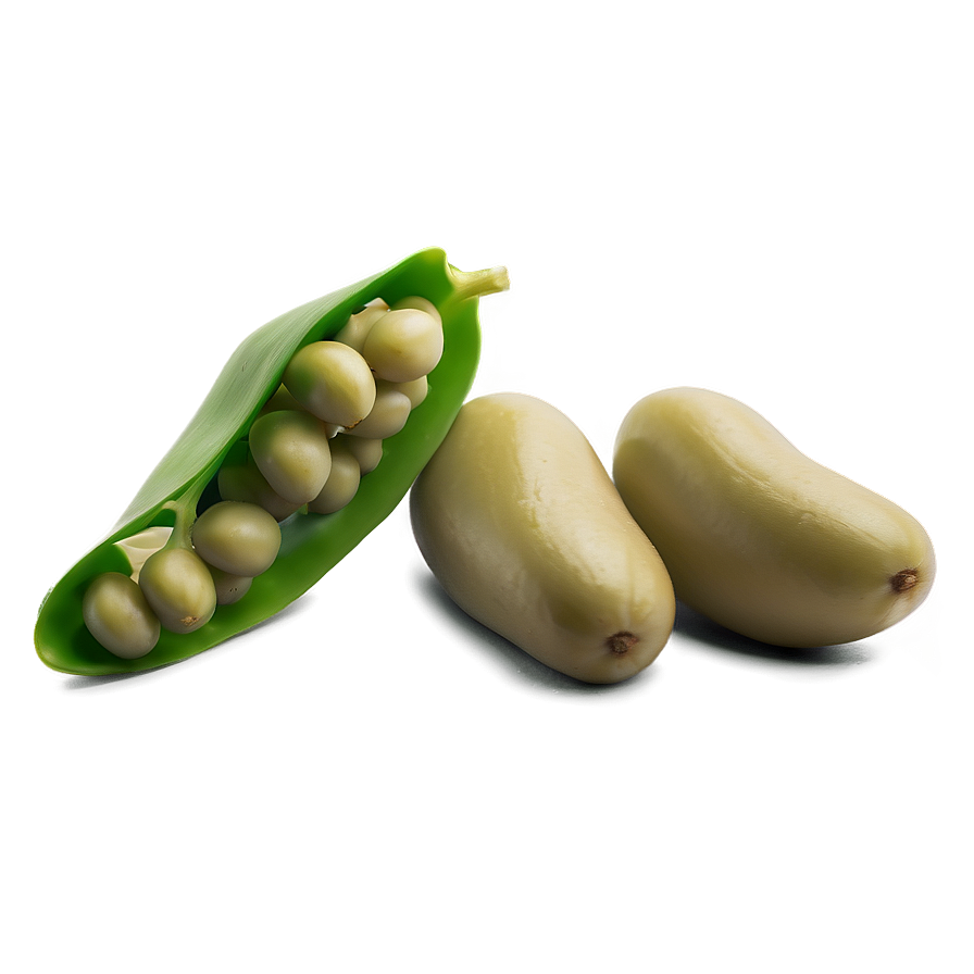 Fava Bean Snack Png 93