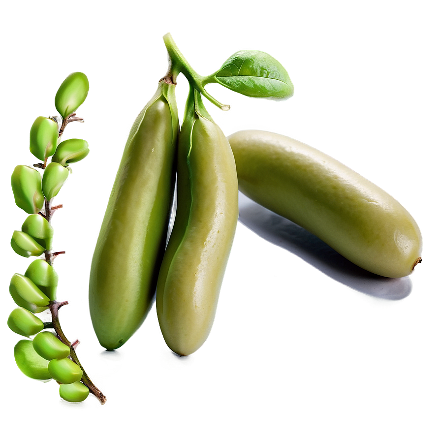 Fava Beans Png 59