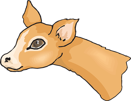 Fawn Head Illustration PNG with transparent background