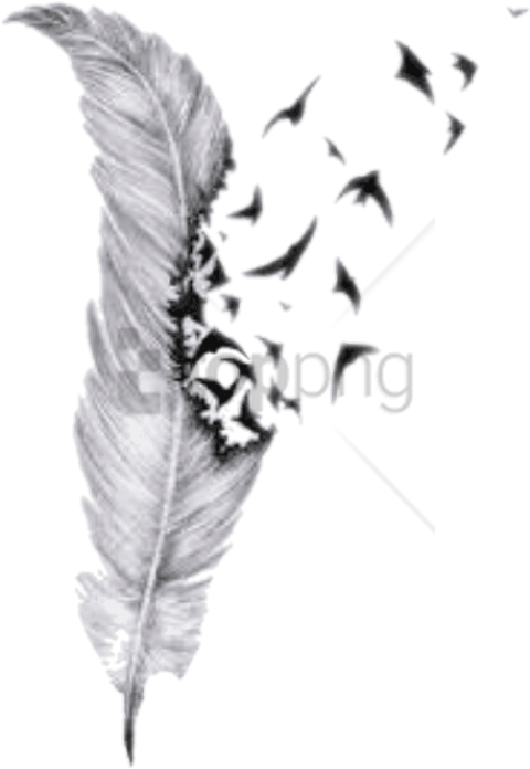 Feather Dissolving Effect