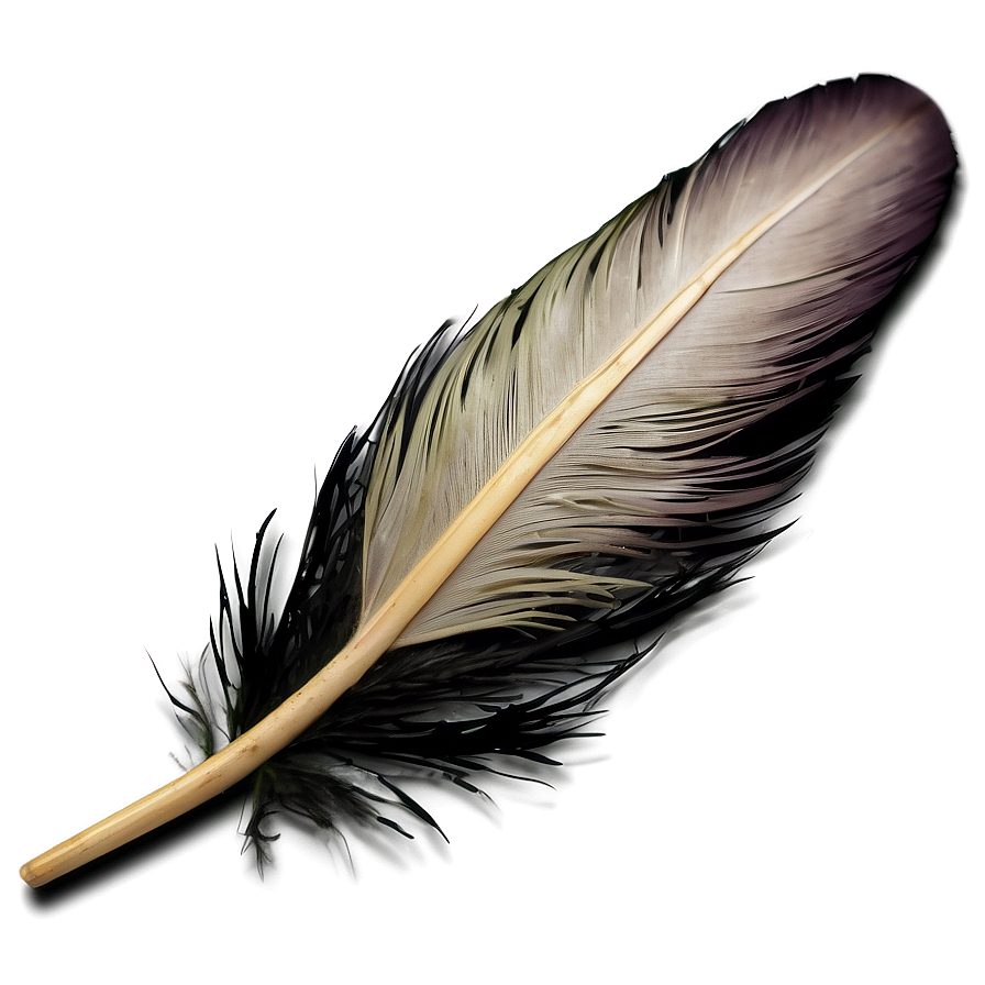 Feather Fashion Accessory Png 81