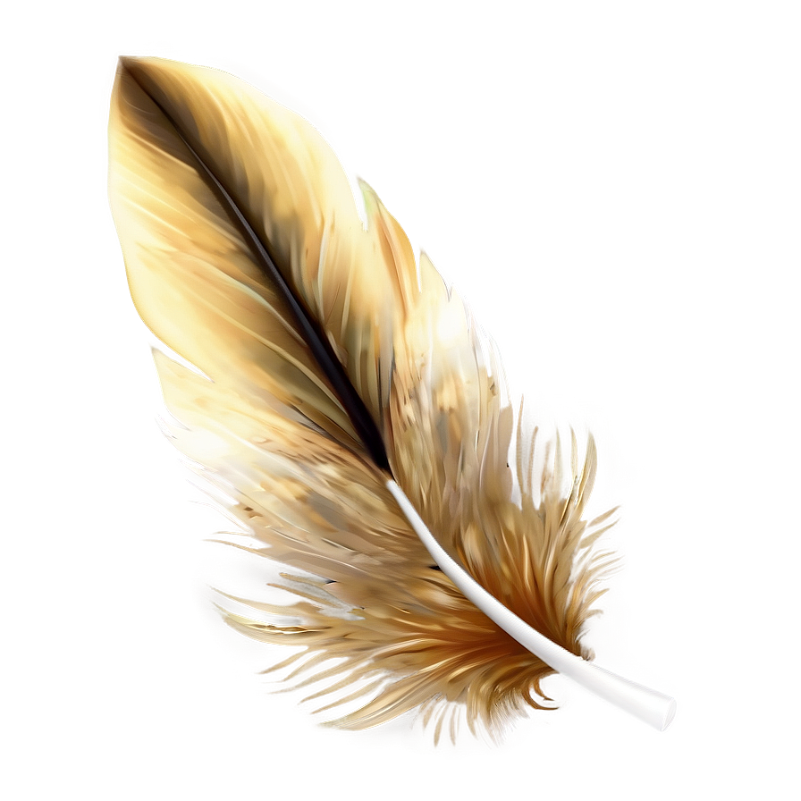 Feather Transparent Background Png Sve