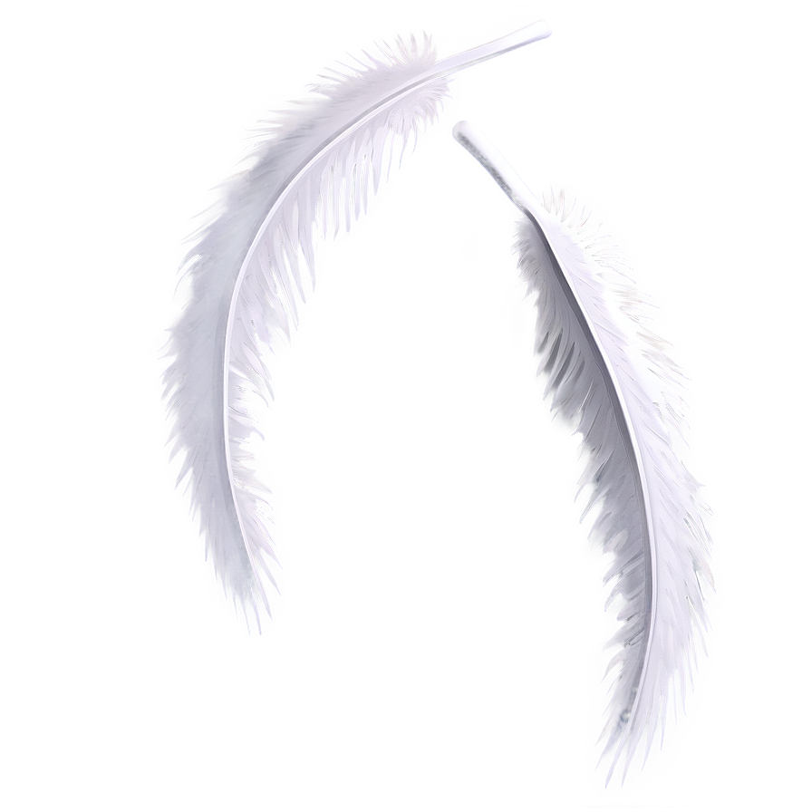 Feathered White Wings Design Png Qtx