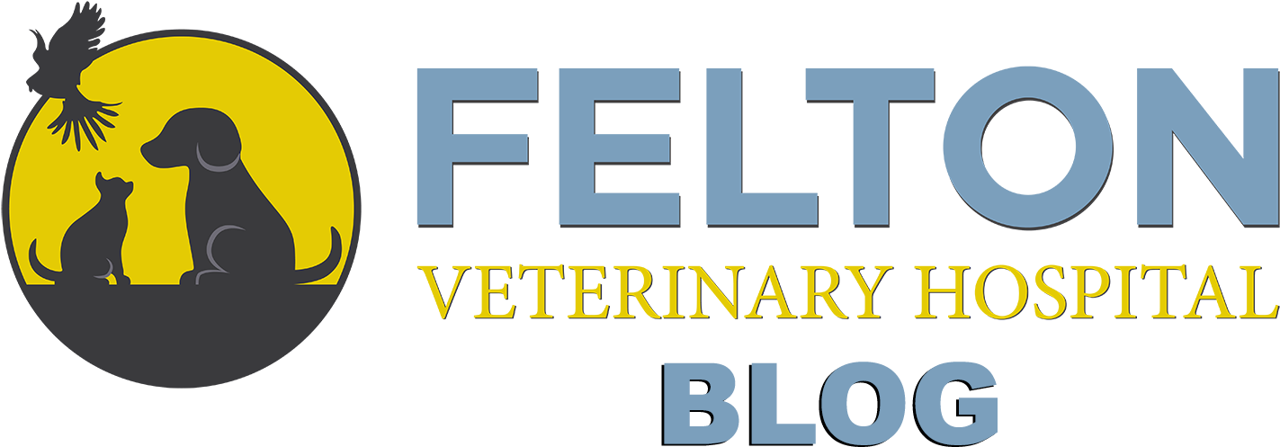 Felton Veterinary Hospital Blog Logo