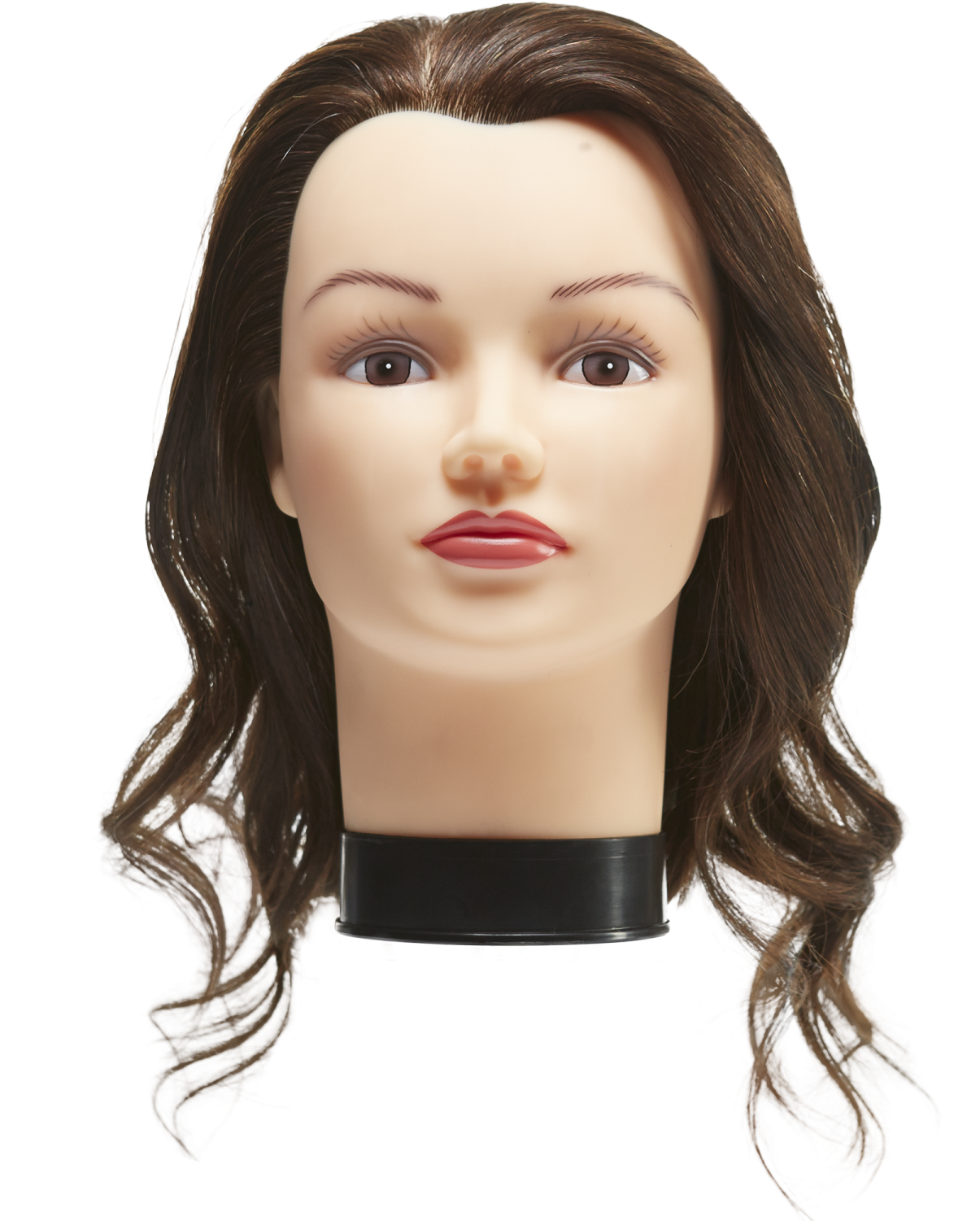 State Board Mannequin Head - Transparent Mannequin Head Png, Png Download PNG with transparent background
