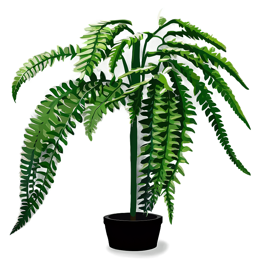 Fern Hanging Plant Png 9