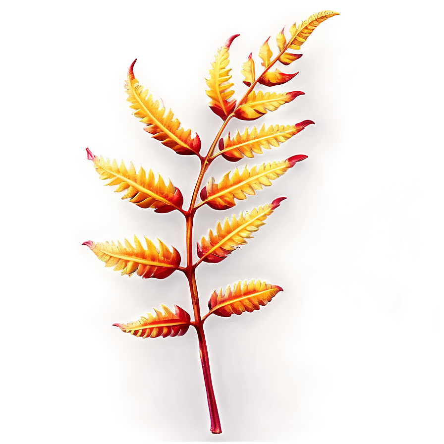 Fern Leaf In Autumn Colors Png Ggy