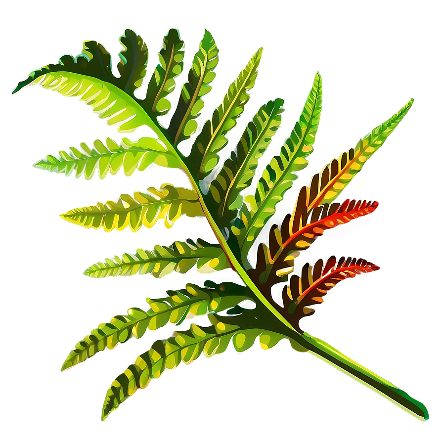 Fern Leaf In Vibrant Colors Png Xno34