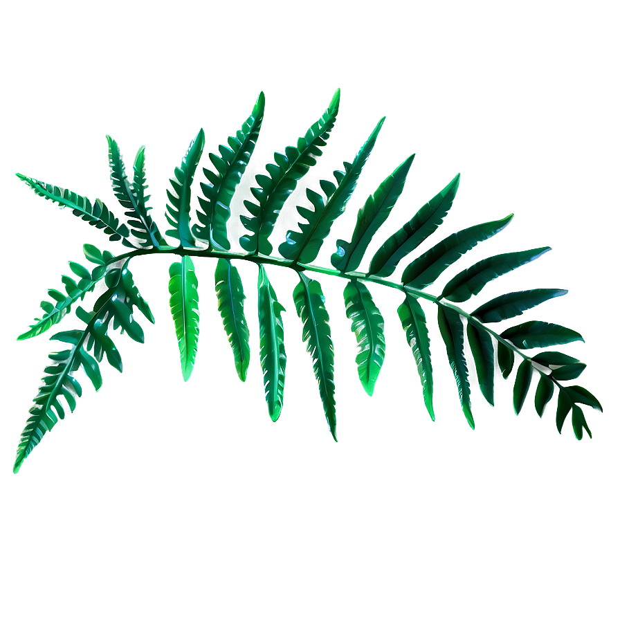 Fern Tropical Leaf Png Rgo39