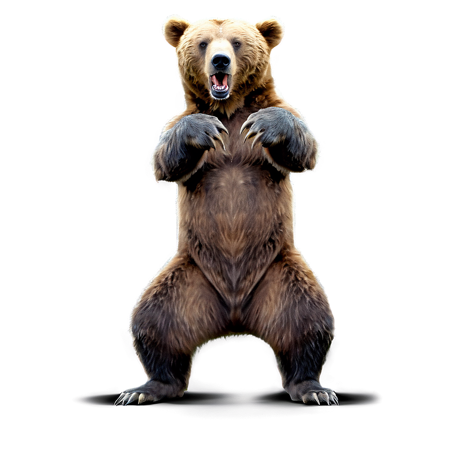 Ferocious Bear Standing Png 06112024