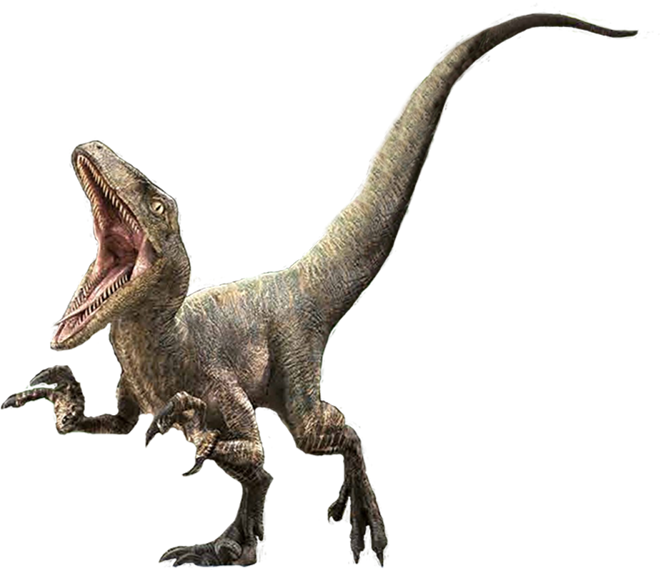 Ferocious Velociraptor Jurassic Park PNG with transparent background