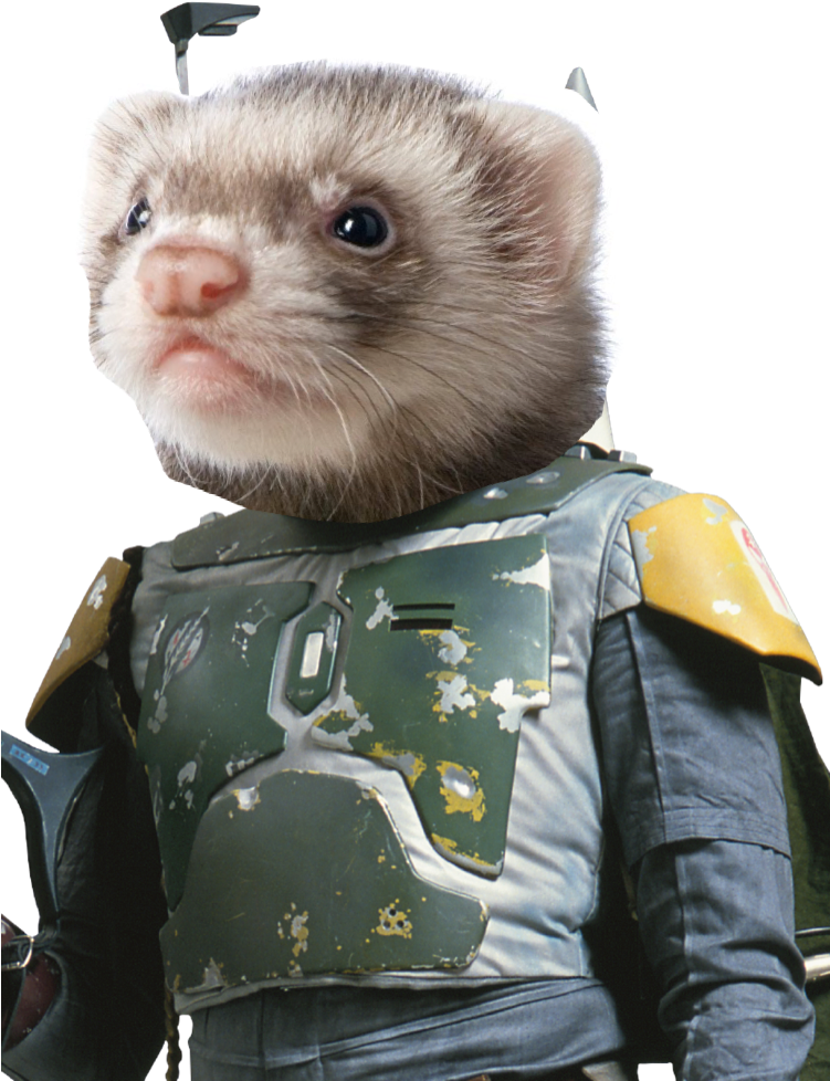 Ferret Bounty Hunter Cosplay