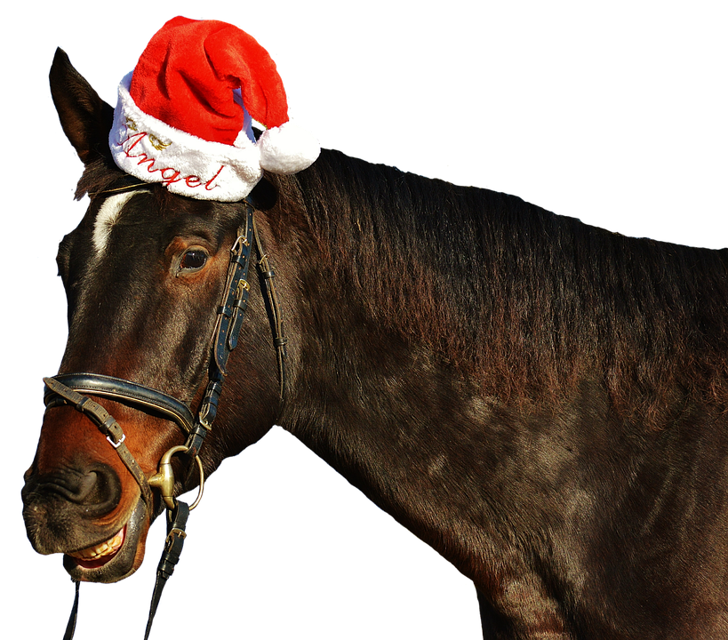 Festive Horsewith Santa Hat