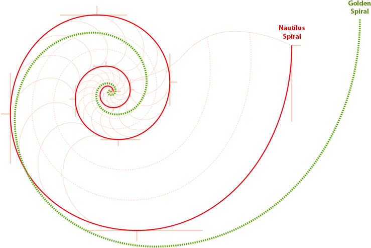 Fibonacci_vs_ Golden_ Spiral_ Comparison