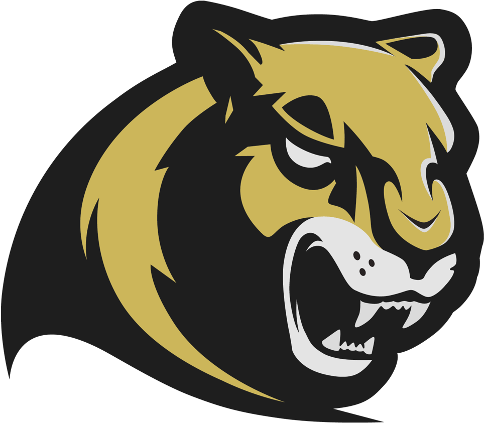 Fierce Cougar Mascot Graphic