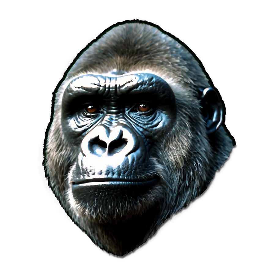 Fierce Gorilla Face Png 30