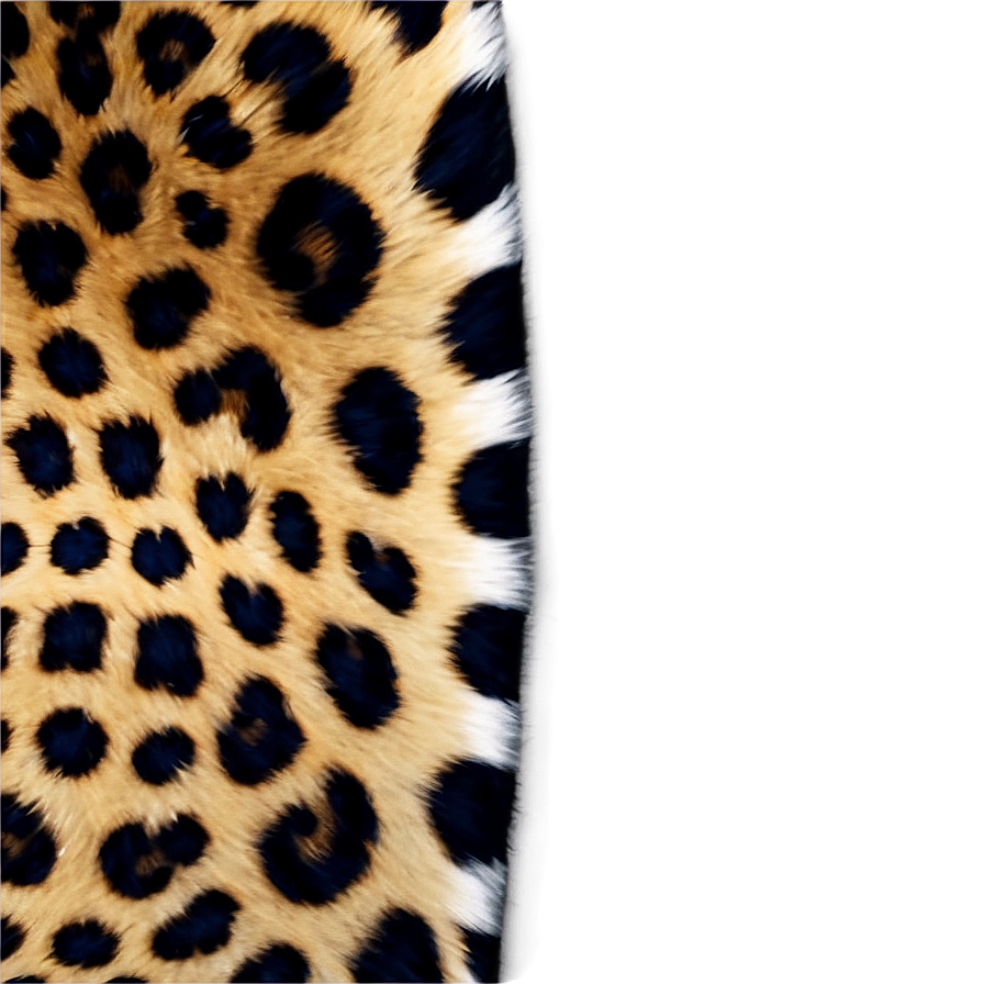 Fierce Leopard Print Png 06252024