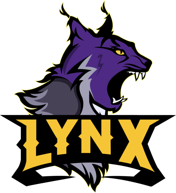 Fierce Lynx Mascot Logo