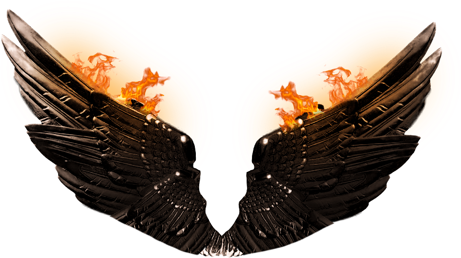 Fiery Wings Artwork