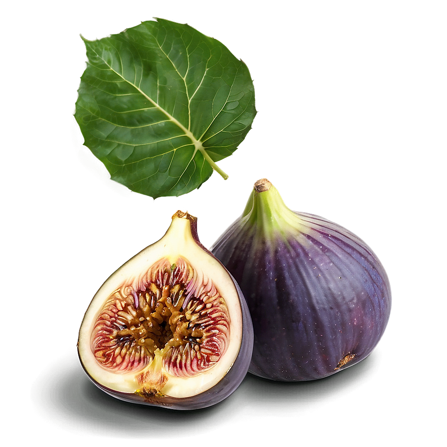 Figs Composition Png 06252024