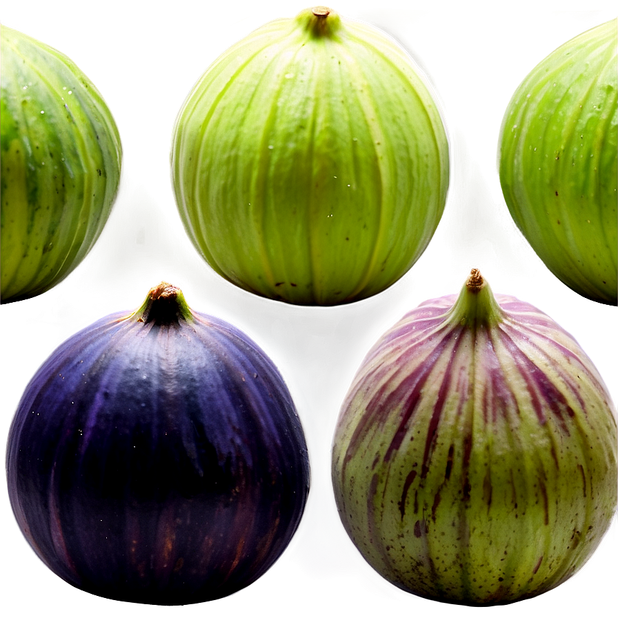 Figs In A Row Png 06252024