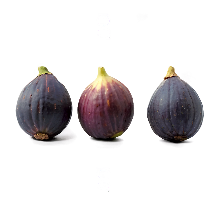 Figs In A Row Png 06252024