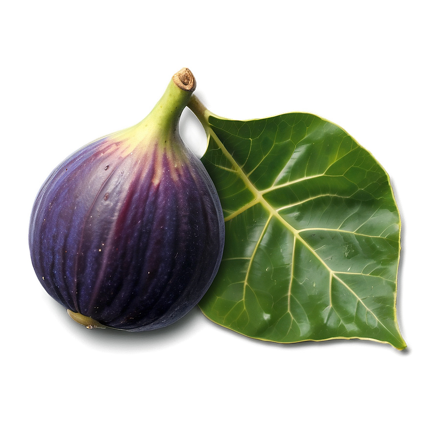 Figs On Vine Png Nrs