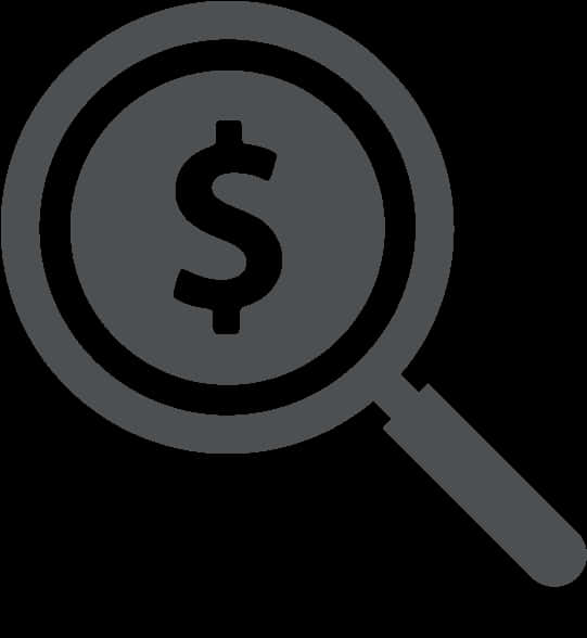 Financial Search Icon