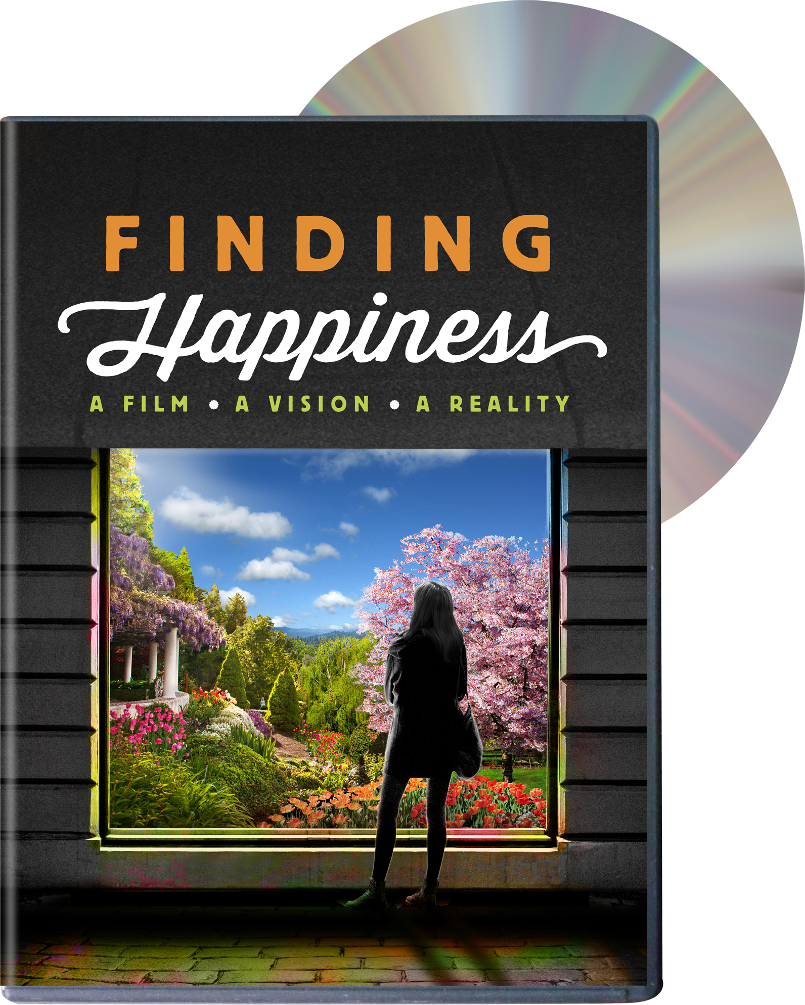 Finding Happiness D V D Cover