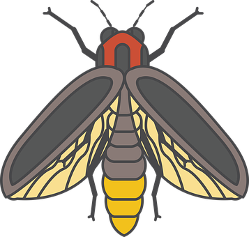 Firefly_ Illustration_ Vector PNG with transparent background
